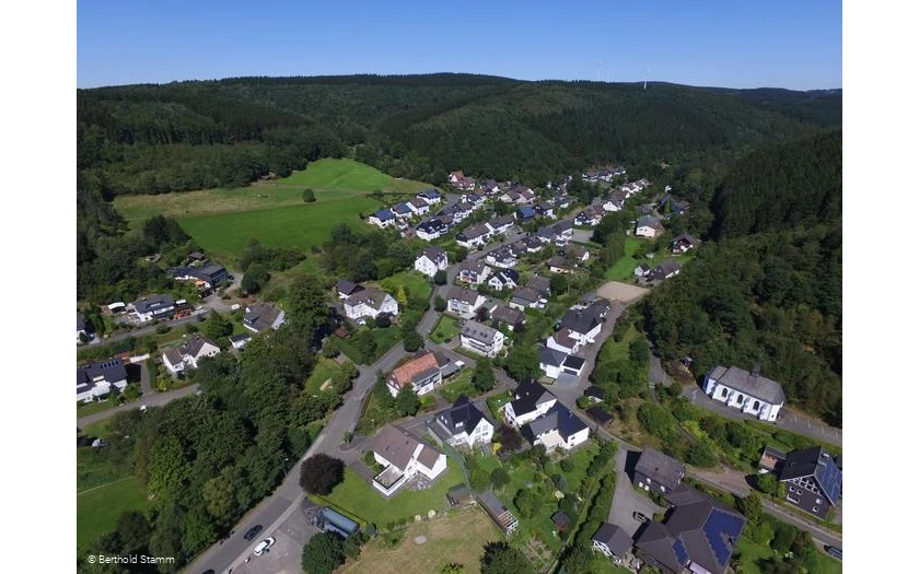 Stachelau