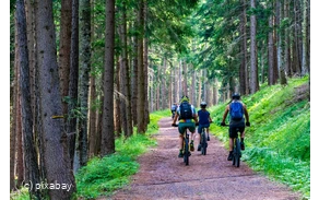 Radfahrer im Wald