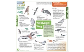 Waldvogelweg Oberveischede